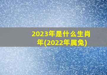 2023年是什么生肖年(2022年属兔)