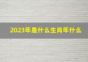 2023年是什么生肖年什么