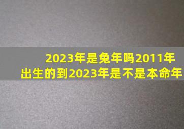 2023年是兔年吗2011年出生的到2023年是不是本命年