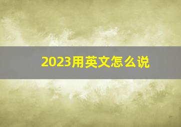 2023用英文怎么说