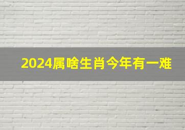 2024属啥生肖今年有一难