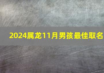 2024属龙11月男孩最佳取名