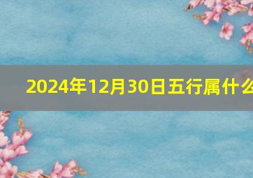 2024年12月30日五行属什么