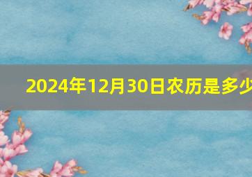 2024年12月30日农历是多少