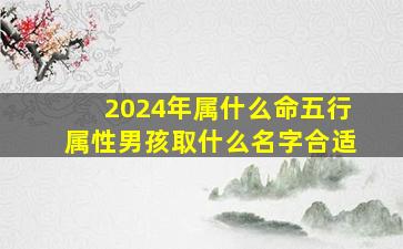 2024年属什么命五行属性男孩取什么名字合适