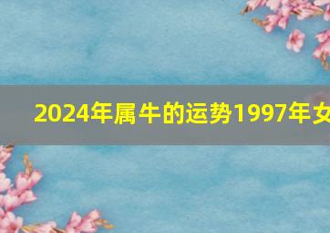 2024年属牛的运势1997年女