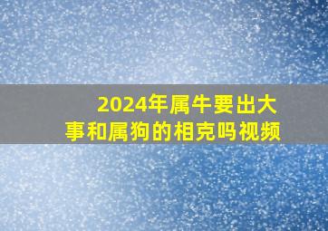 2024年属牛要出大事和属狗的相克吗视频