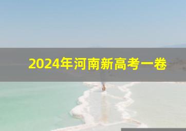 2024年河南新高考一卷