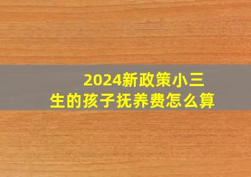 2024新政策小三生的孩子抚养费怎么算