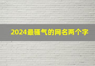 2024最骚气的网名两个字