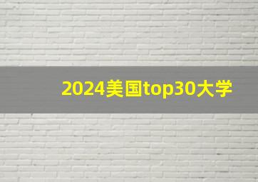 2024美国top30大学