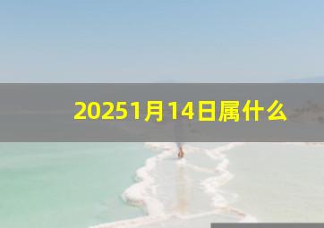 20251月14日属什么