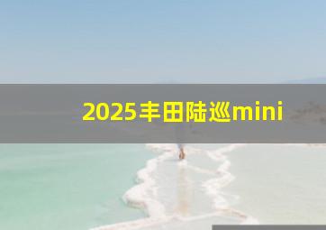 2025丰田陆巡mini