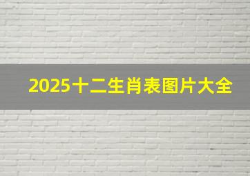 2025十二生肖表图片大全