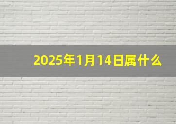 2025年1月14日属什么