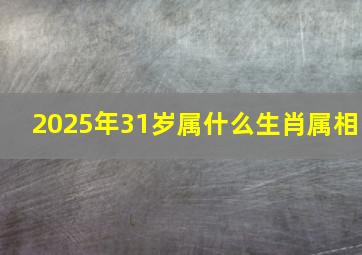 2025年31岁属什么生肖属相