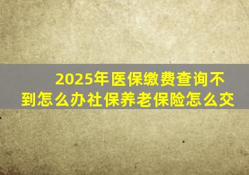 2025年医保缴费查询不到怎么办社保养老保险怎么交