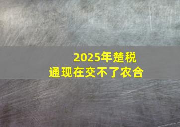 2025年楚税通现在交不了农合