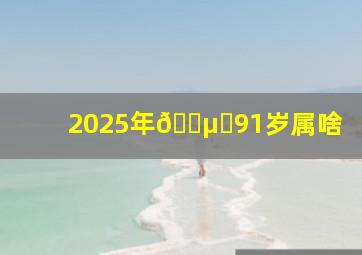 2025年🈵️91岁属啥