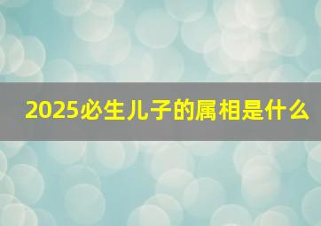 2025必生儿子的属相是什么