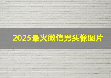 2025最火微信男头像图片