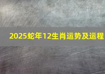 2025蛇年12生肖运势及运程