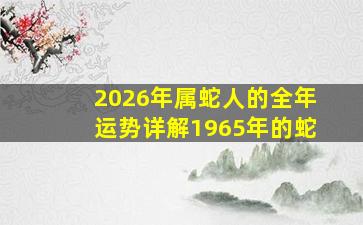 2026年属蛇人的全年运势详解1965年的蛇