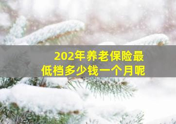 202年养老保险最低档多少钱一个月呢