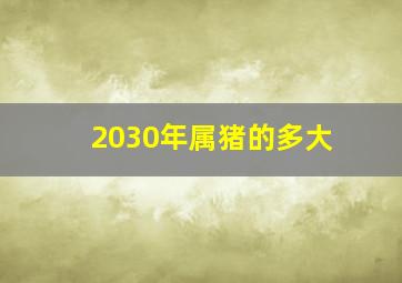 2030年属猪的多大