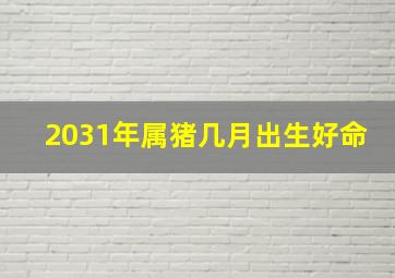 2031年属猪几月出生好命