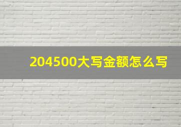 204500大写金额怎么写