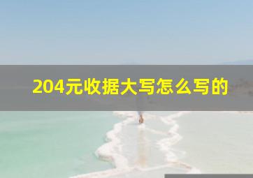 204元收据大写怎么写的