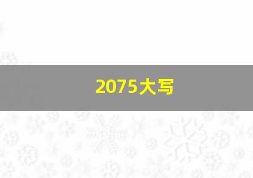 2075大写