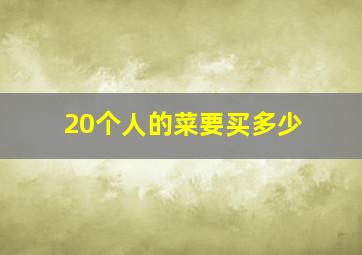 20个人的菜要买多少