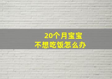 20个月宝宝不想吃饭怎么办