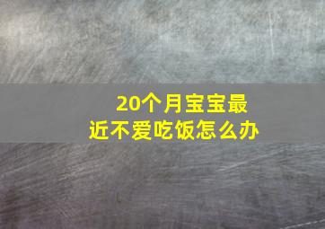 20个月宝宝最近不爱吃饭怎么办