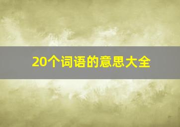 20个词语的意思大全