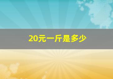 20元一斤是多少