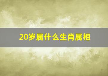 20岁属什么生肖属相