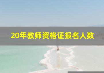 20年教师资格证报名人数