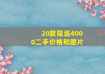 20款陆巡4000二手价格和图片