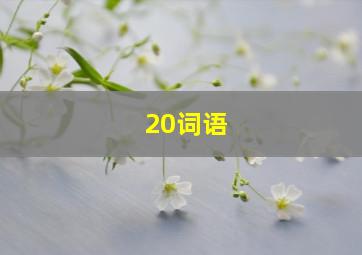 20词语