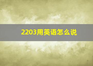 2203用英语怎么说