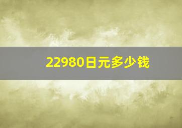 22980日元多少钱