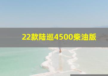 22款陆巡4500柴油版