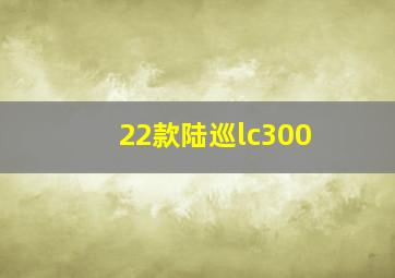 22款陆巡lc300