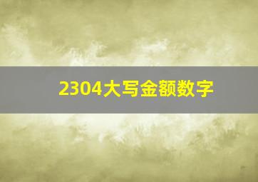 2304大写金额数字