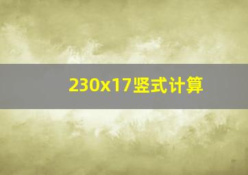 230x17竖式计算