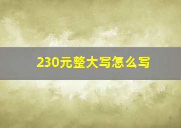 230元整大写怎么写