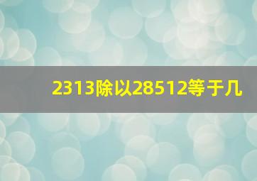 2313除以28512等于几